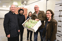 Betriebsbesuch Schön Gemüse