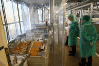 Besuch Firma Manner