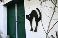 Kellerkatze