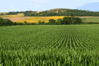 Weinviertel