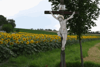Kreuz Martinsdorf