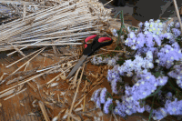 Erntekrone flechten