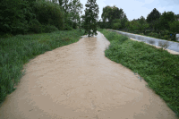 Pegelstand Zaya Wenzersdorf