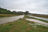 Brandbach Zwentendorf