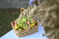 Erntedankfest Gnadendorf