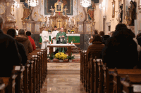 Visitation in Hagenberg