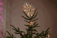 Strohstern am Christbaum