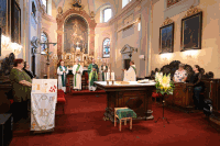 Vikariatspilgertag 2025