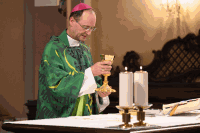 Vikariatspilgertag 2025