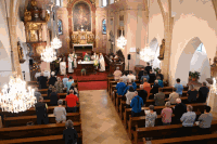 Vikariatspilgertag 2025