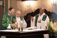 Vikariatspilgertag 2025