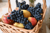 Erntedankfest Gnadendorf