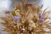 Erntedankfest Gnadendorf