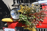 Oldtimertreffen Ernstbrunn