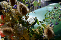 Oldtimertreffen Ernstbrunn