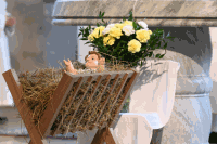 Weihnachten Gnadendorf