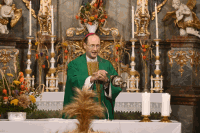 Visitation Waidendorf