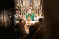 Visitation Waidendorf