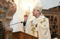 Visitation Großinzersdorf