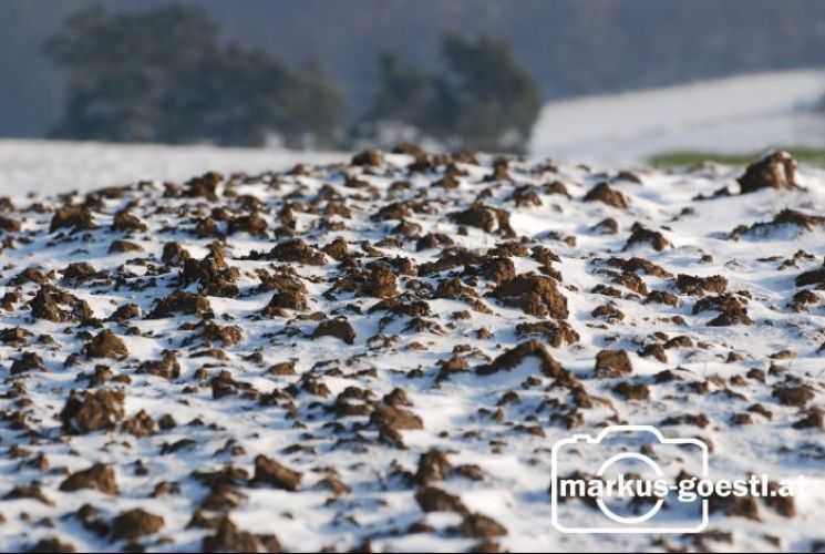 Ackerboden leichte Schneedecke