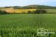 Weinviertel