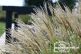 Gartenimpressionen