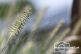 Gartenimpressionen