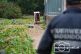 Einsatz FF-Gnadendorf
