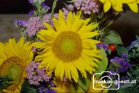 MR-Bundestagung2007_3