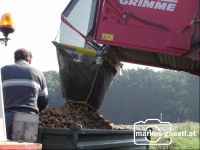 Kartoffelernte10