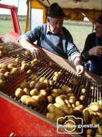 Kartoffelernte1