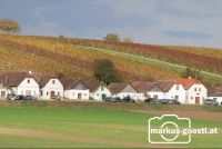 Kellergasse_Diepolz1
