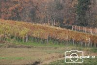 Weingarten_Herbst