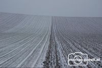 leichter_Schneefall