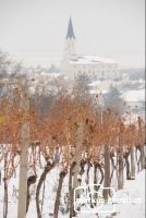 Weingarten_Schnee3