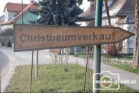 Christbaumverkauf