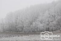 angefrorener_Nebel2