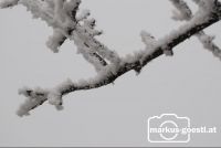 angefrorener_Nebel1