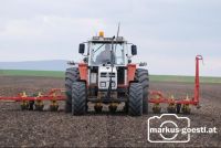 Rüben_Mulchsaat4