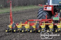 Rüben_Mulchsaat2