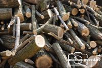 Brennholz4