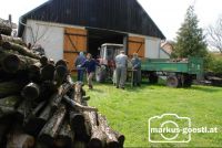 Holz_schneiden2