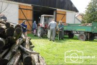 Holz_schneiden1
