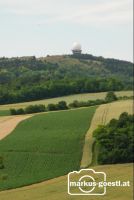 Blick_Buschberg