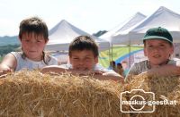 Weidefest_Grafensulz26