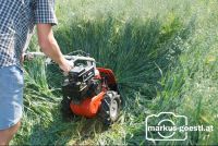 Weidefest_Grafensulz12