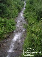 Bachlauf2