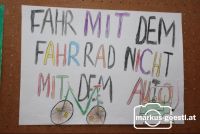 Ökostaffel_2008_32