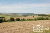 Weinviertel2