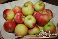 Äpfel1